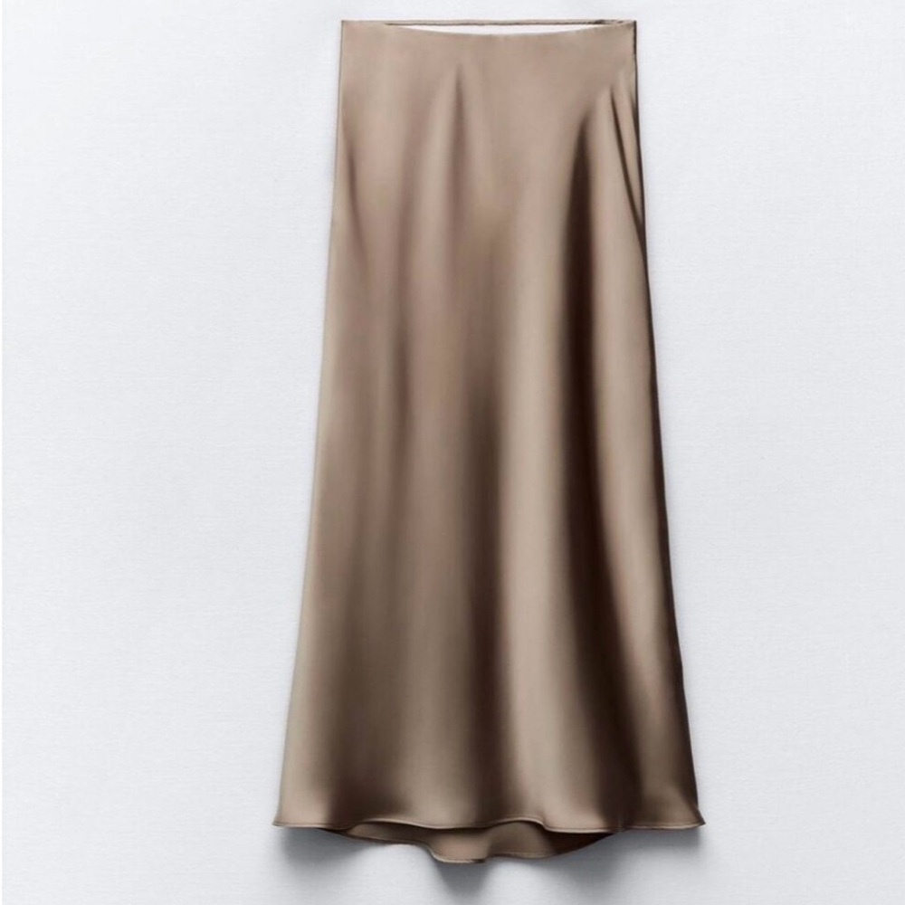 Zara Chic Midi Skirt - Picture 2 of 5